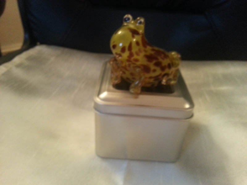 FROG IN A TIN 2013-060