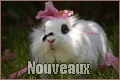 Nouveaux messages