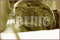 Ce forum est verrouillé, vous ne pouvez pas poster, ni répondre, ni éditer les sujets.