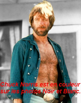 File dédiée à Chuck Norris Q4968c10