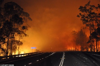 IL GIUDIZIO DI DIO IN AUSTRALIA 1110