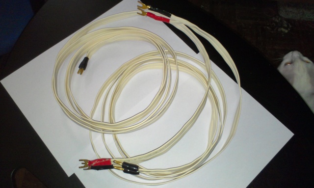 Audioquest F-18 Speaker Cable (Used) Imag0320