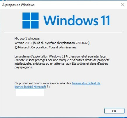 Windows 11 - Page 3 U2yr10