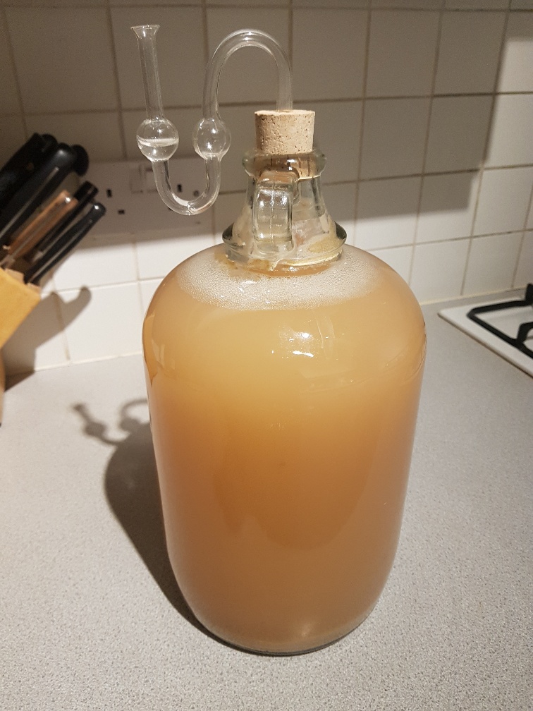First go at proper wine 20180912