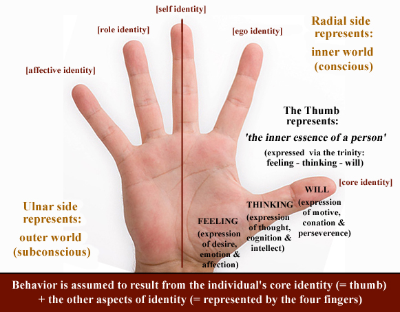 I - The thumb represents the inner essence of man! Thumb-10