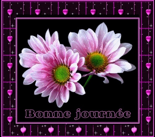 Bonjour...bonne journée...bonsoir...bonne nuit.... - Page 15 Mini_510