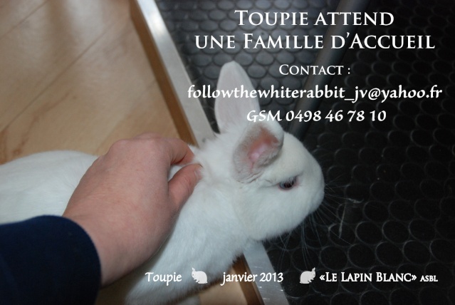 "Le Lapin Blanc" recherche des FA en Belgique - Page 2 Fa_jan10