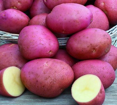 Les pommes de terre originales et variétés anciennes ou  oubliées   Captur51