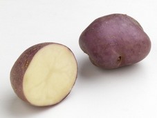 Les pommes de terre originales et variétés anciennes ou  oubliées   Pomme-11