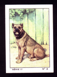 Nestle Trade Card from 1926 Ddb_1310