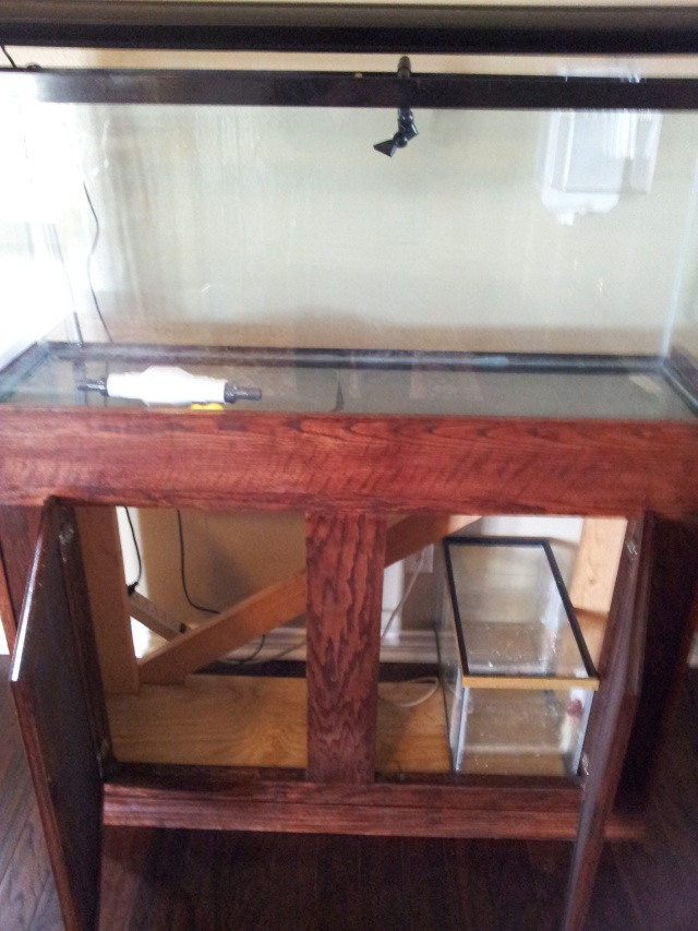 [b]55 Gallon tank with Oak stand w/ extras [/b] 20130120