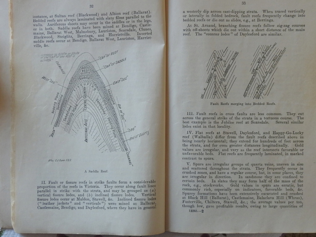 diggings and reefs Rscn0215