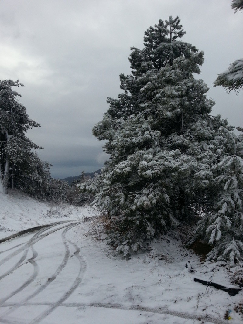 Neve Piani di Praglia e Capanne di Marcarolo, 02/01/2013 20130125