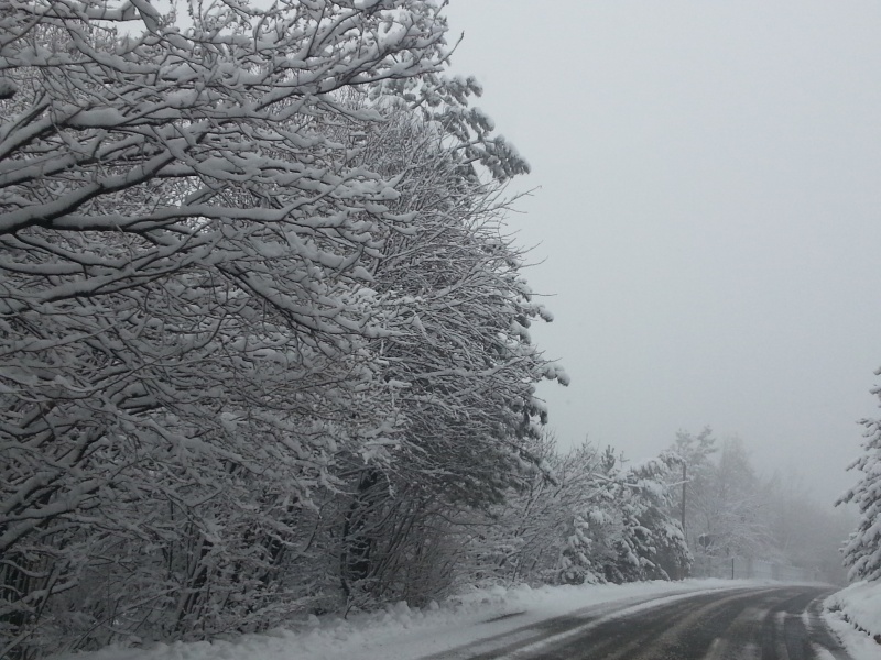 Neve Piani di Praglia e Capanne di Marcarolo, 02/01/2013 20130147