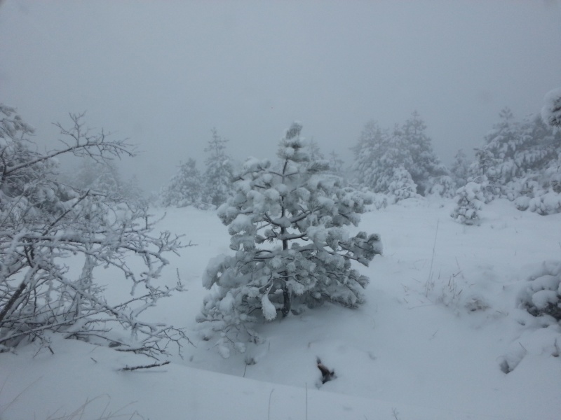 Neve Piani di Praglia e Capanne di Marcarolo, 02/01/2013 20130166