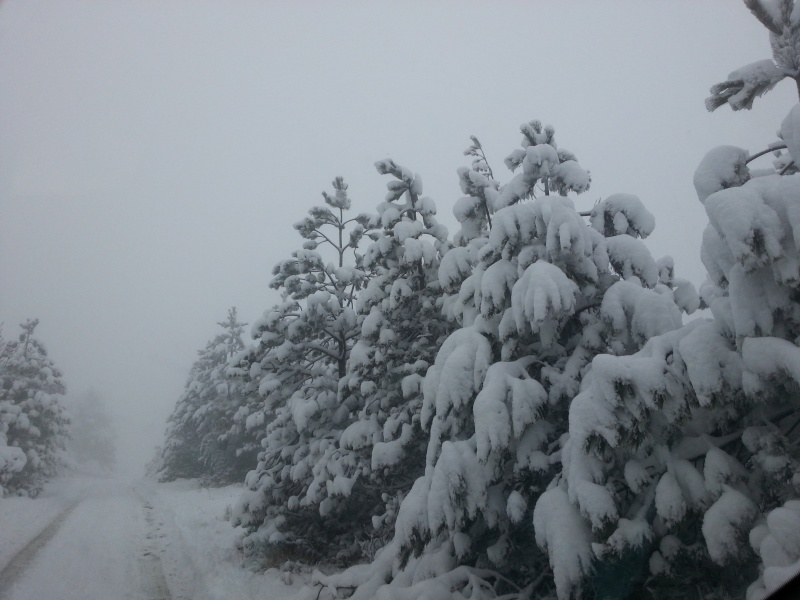 Neve Piani di Praglia e Capanne di Marcarolo, 02/01/2013 20130167