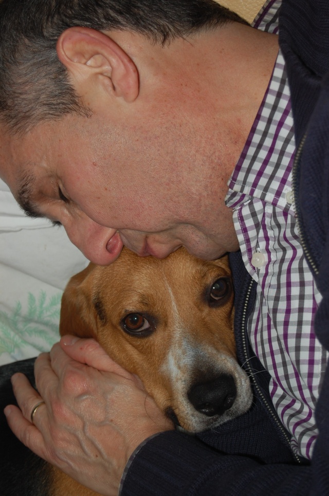 FILOU, beagle de 3 ans (59) en FA chez Fabou [Adopté] - Page 16 Dsc_0058