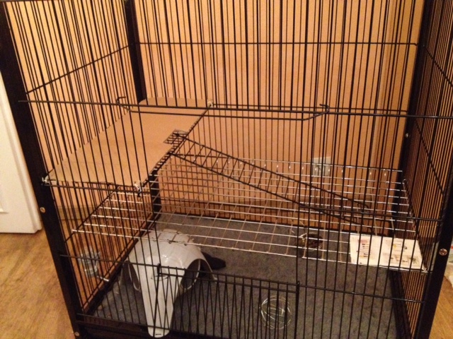 Ma nouvelle cage Photo210