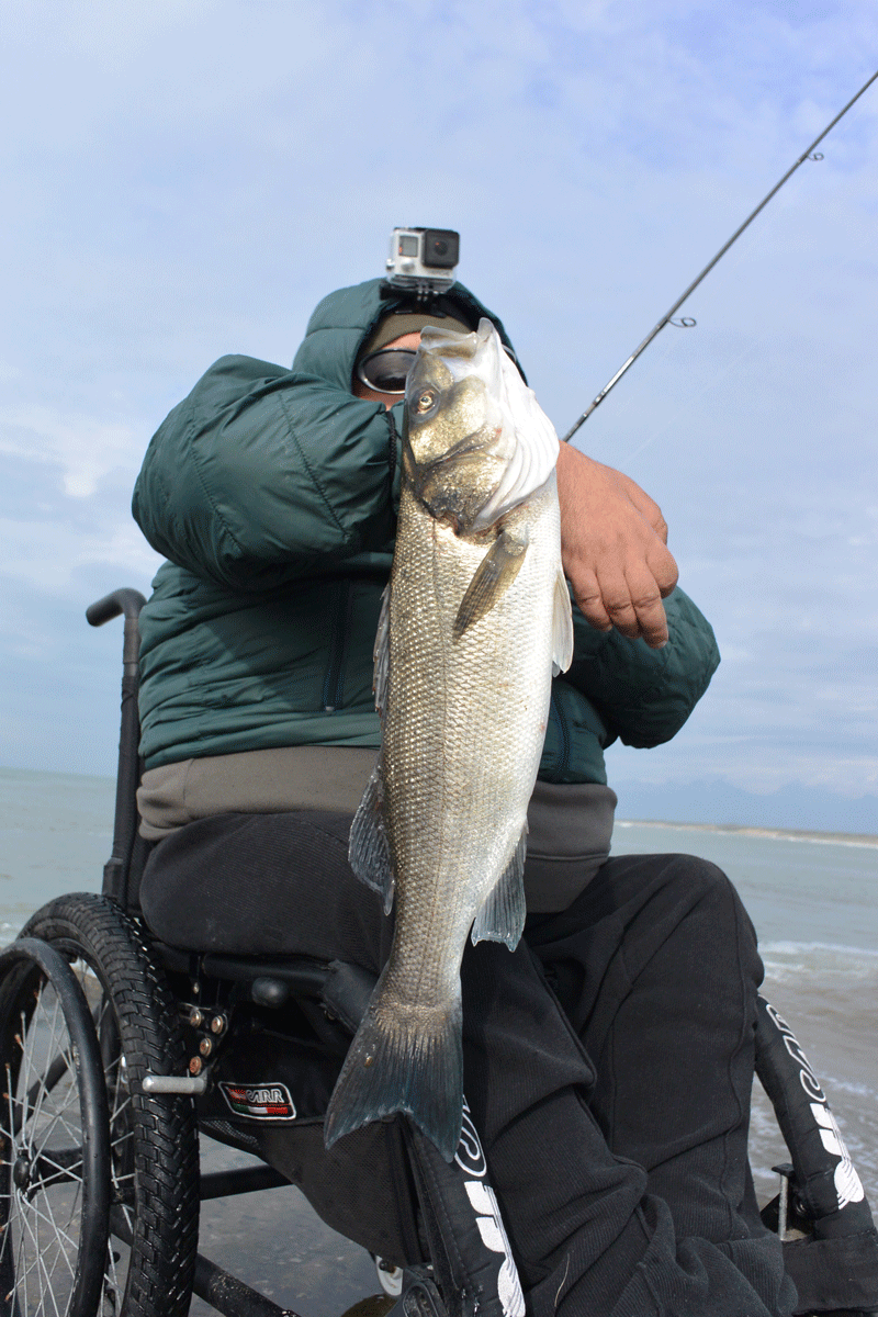 Cerco assistente di pesca Spigol10