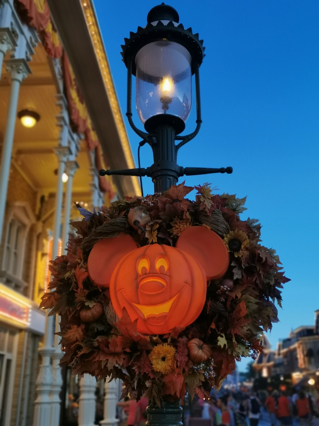 Halloween 2019 - Walt Disney World - Discovery cove - Universal Img_2033