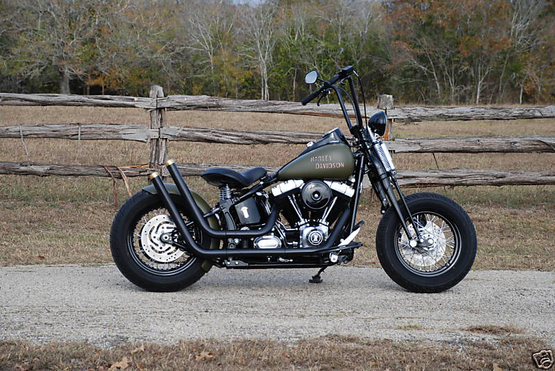 Harley Davidson Crossbones Custom