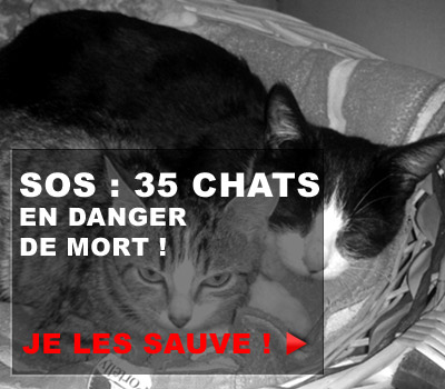 Clic Animaux - Page 9 Promol14