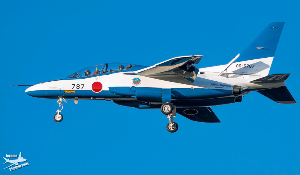 kawasaki T -4 - Kawasaki T-4 blue impulse hasegawa 1/48 Imgp7513
