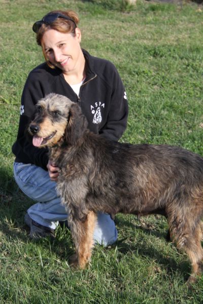 BUNNY  -  Griffon Nivernais  7 ans  -  ASPA DE  VALENCE  (26) Bunny310