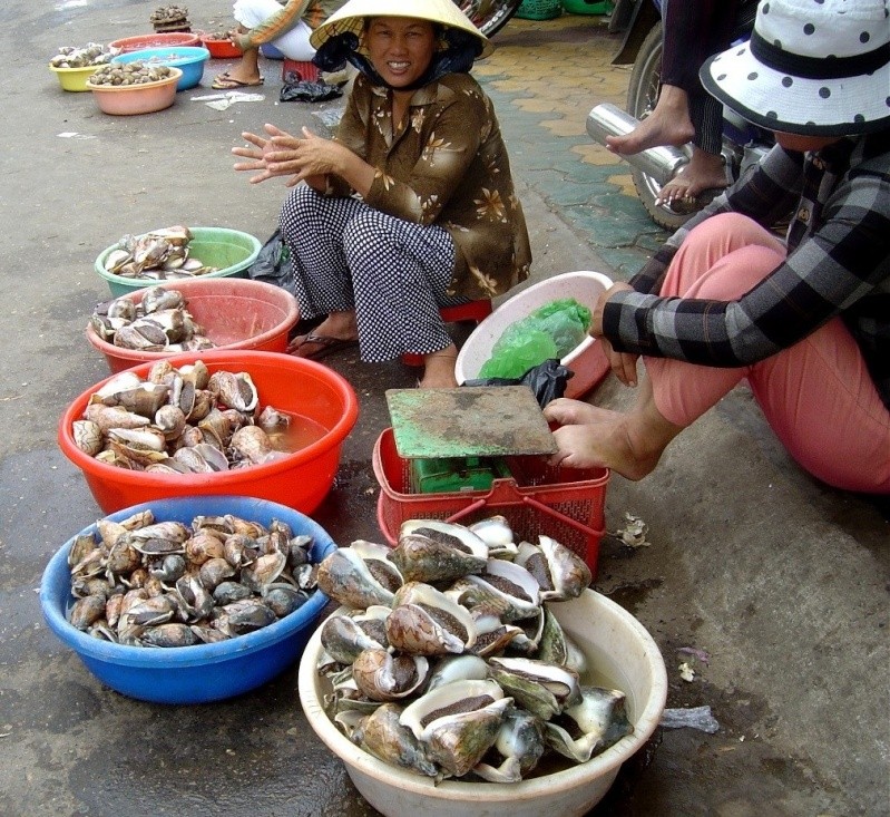 Dégustation de Coquillages au Vietnam - Page 2 Haget711