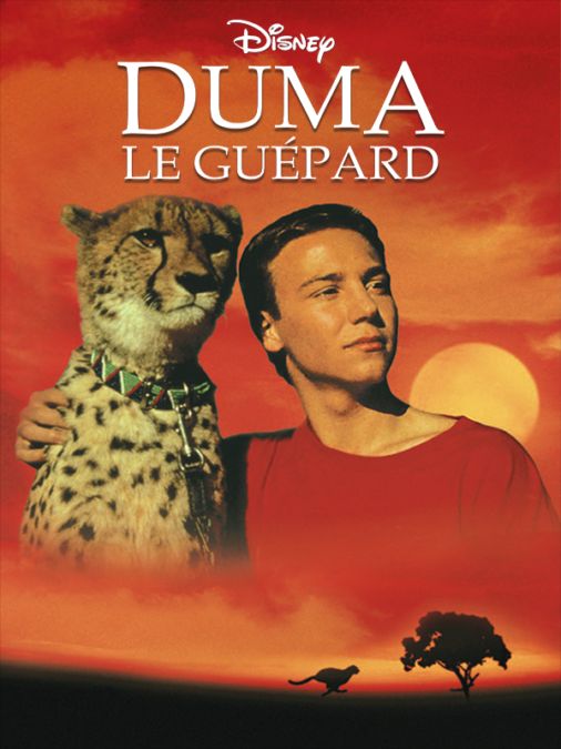 Duma le guépard (Cheetah) 1989* Scale10