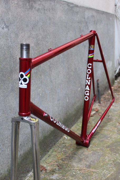 Colnago Super (1979) Img_7011