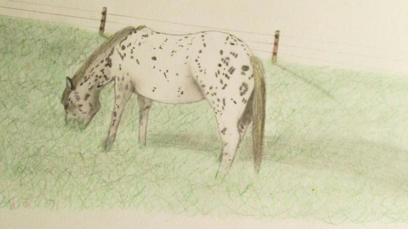Le petit carnet secret de F-loana Neige11