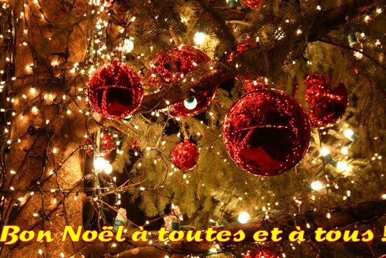 MEILLEURS VOEUX A TOUS ! Noel_b10