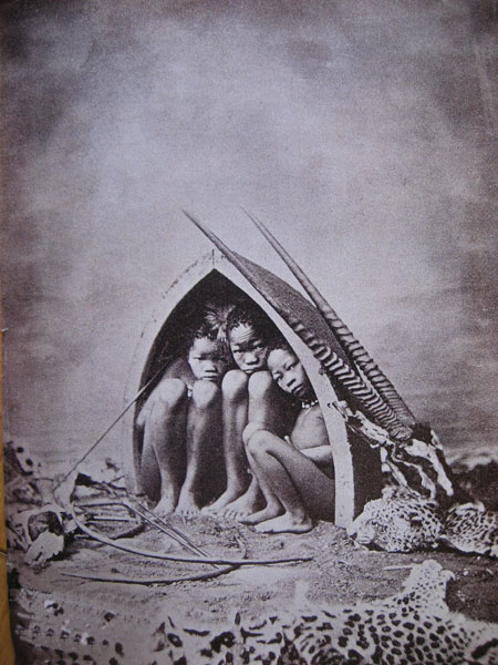 Les premiers Parisiens Pygmées Congolais (Batsua 2 l'Equateur). Pygmee10