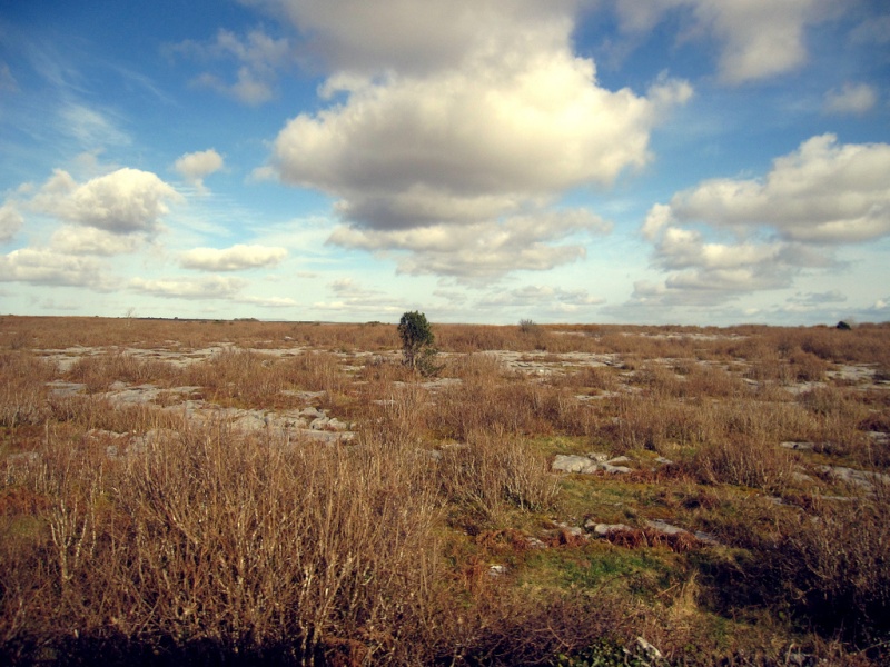 Concours photo Clic-Clac de Décembre 2012 : Le passage (vote) 60932010