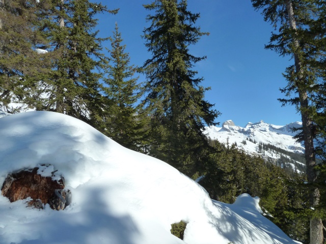 Ski-Alpinisme: 26 janvier 2013: la crête de Lodze  2582 m P1080627