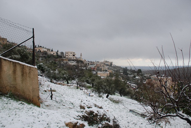 بيت عنان تكتسي حله بيضاء(الثلج) تصوير احمد عمر ربيع Dsc_0454