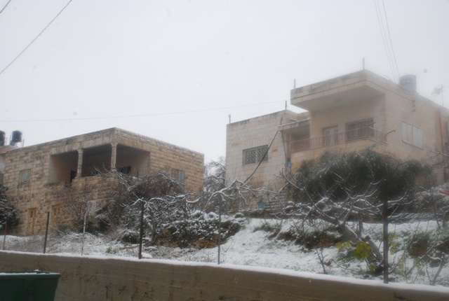 بيت عنان تكتسي حله بيضاء(الثلج) تصوير احمد عمر ربيع Dsc_0464