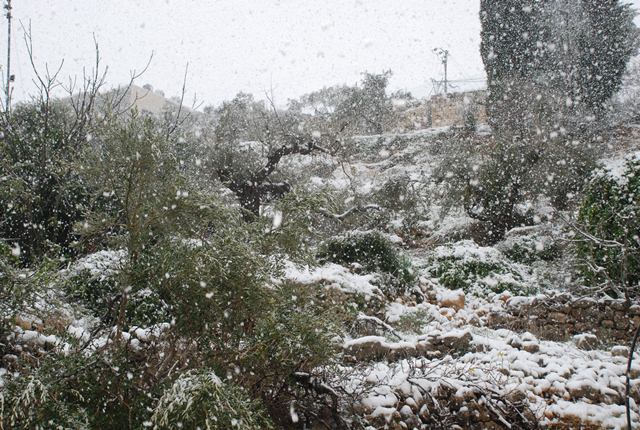 بيت عنان تكتسي حله بيضاء(الثلج) تصوير احمد عمر ربيع Dsc_0505