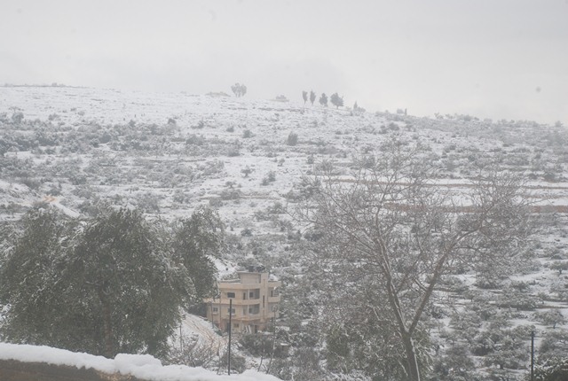 بيت عنان تكتسي حله بيضاء(الثلج) تصوير احمد عمر ربيع Dsc_0535