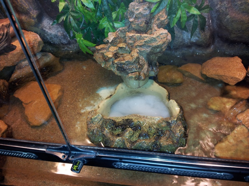 [résolu]Un terrarium à la place d'un aquarium pour des Periophthalmus 20130110