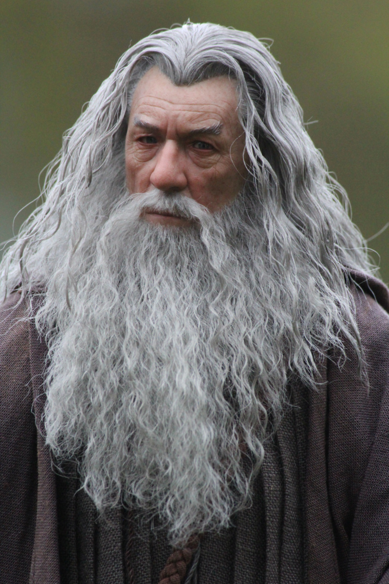 The Lord of the Rings : Gandalf the Grey - Page 5 G2111