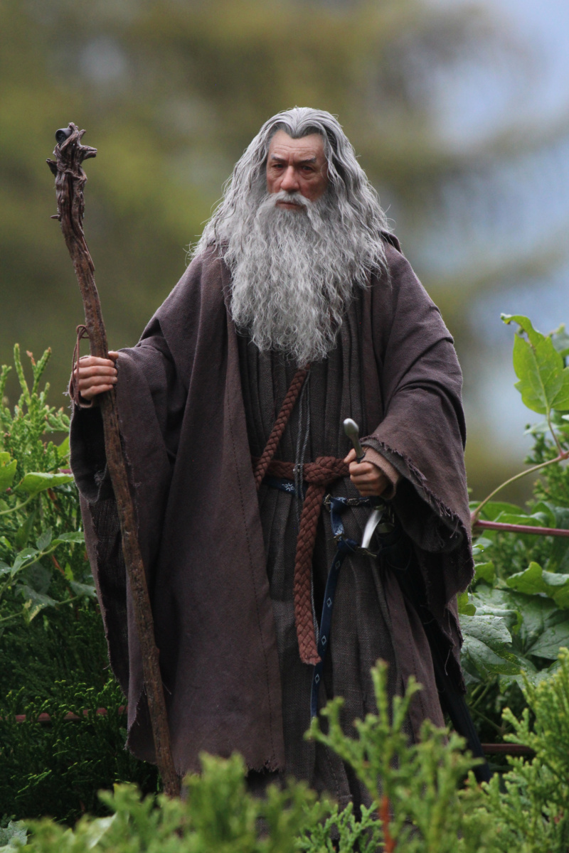 The Lord of the Rings : Gandalf the Grey - Page 5 G2211