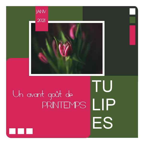 Challenge inspiration --> 31 janvier Tulipe10