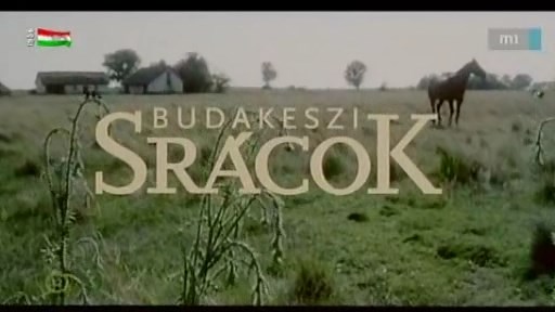 budake10.jpg