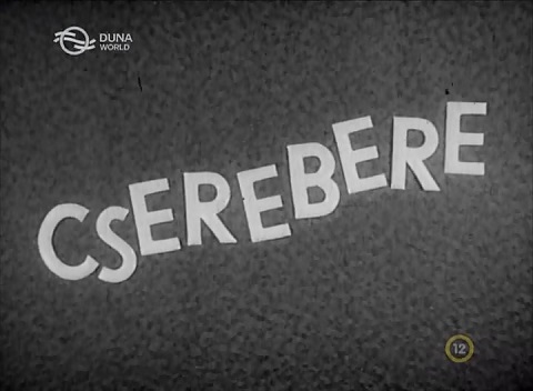 Cserebere 1940 TVRip x264 Hun mkv (12) Csereb11