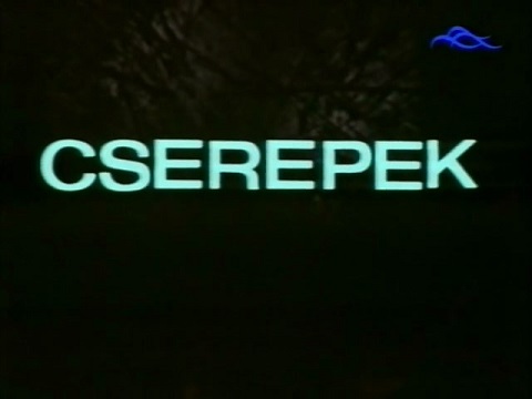 cserep10.jpg