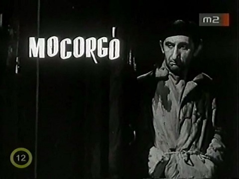 mocorg10.jpg