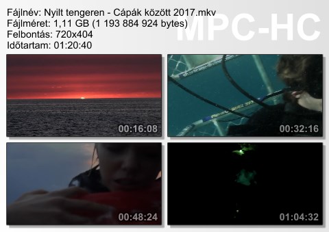 Nyílt tengeren: Cápák között (Open Water 3: Cage Dive) 2017 BDRip x264 Hun mkv (16) Nyilt_10