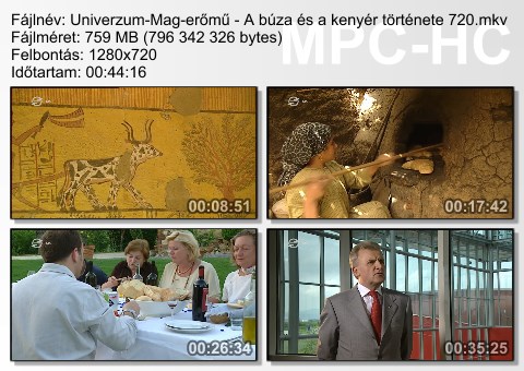 Univerzum - Mag-erőmű - A búza és a kenyér története (Korn Kraft Werk) 2005 HDTV 720p x264 Hun mkv Unive185